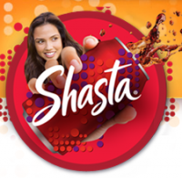 SEO, PPC, Social Media firm Client Shasta